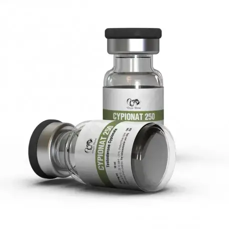 The Ultimate Guide to Steroids